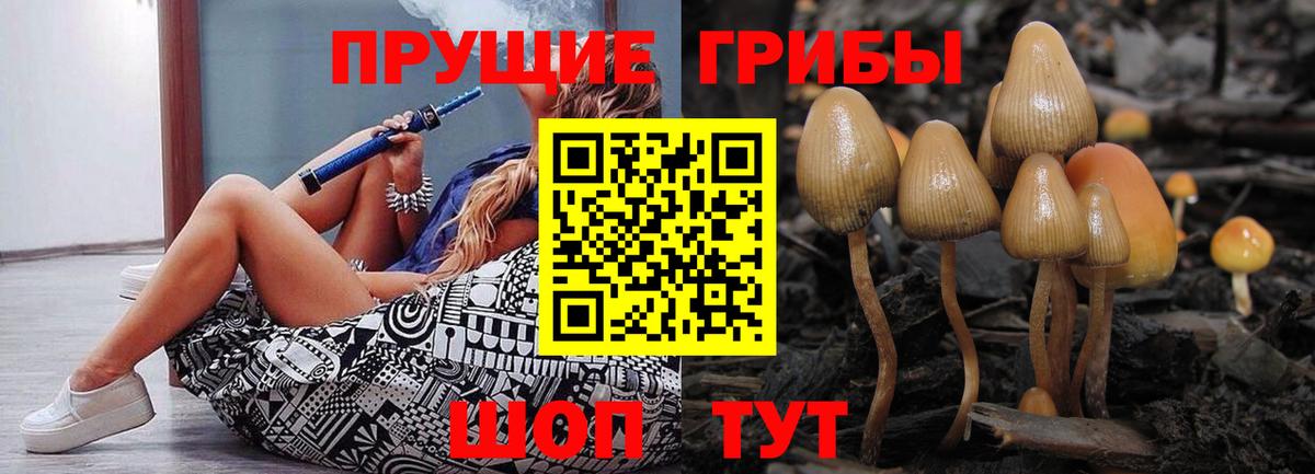 Каменск-Шахтинский  Псилоцибиновые грибы Psilocybe  Вход с VPN 